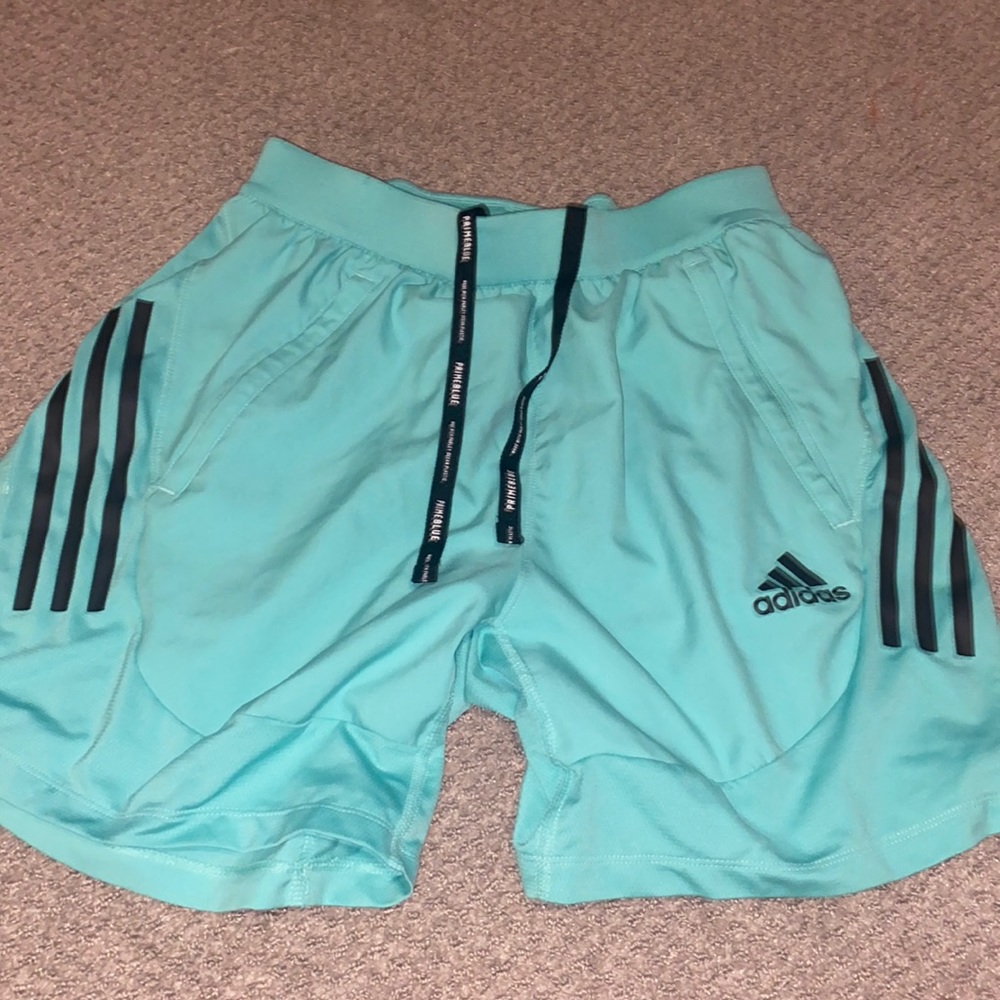 Aqua Adidas Shorts
